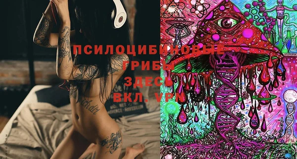 дживик Баксан