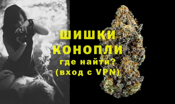 дживик Баксан
