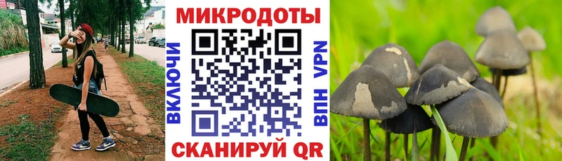 Галлюциногенные грибы MAGIC MUSHROOMS  Рассказово 